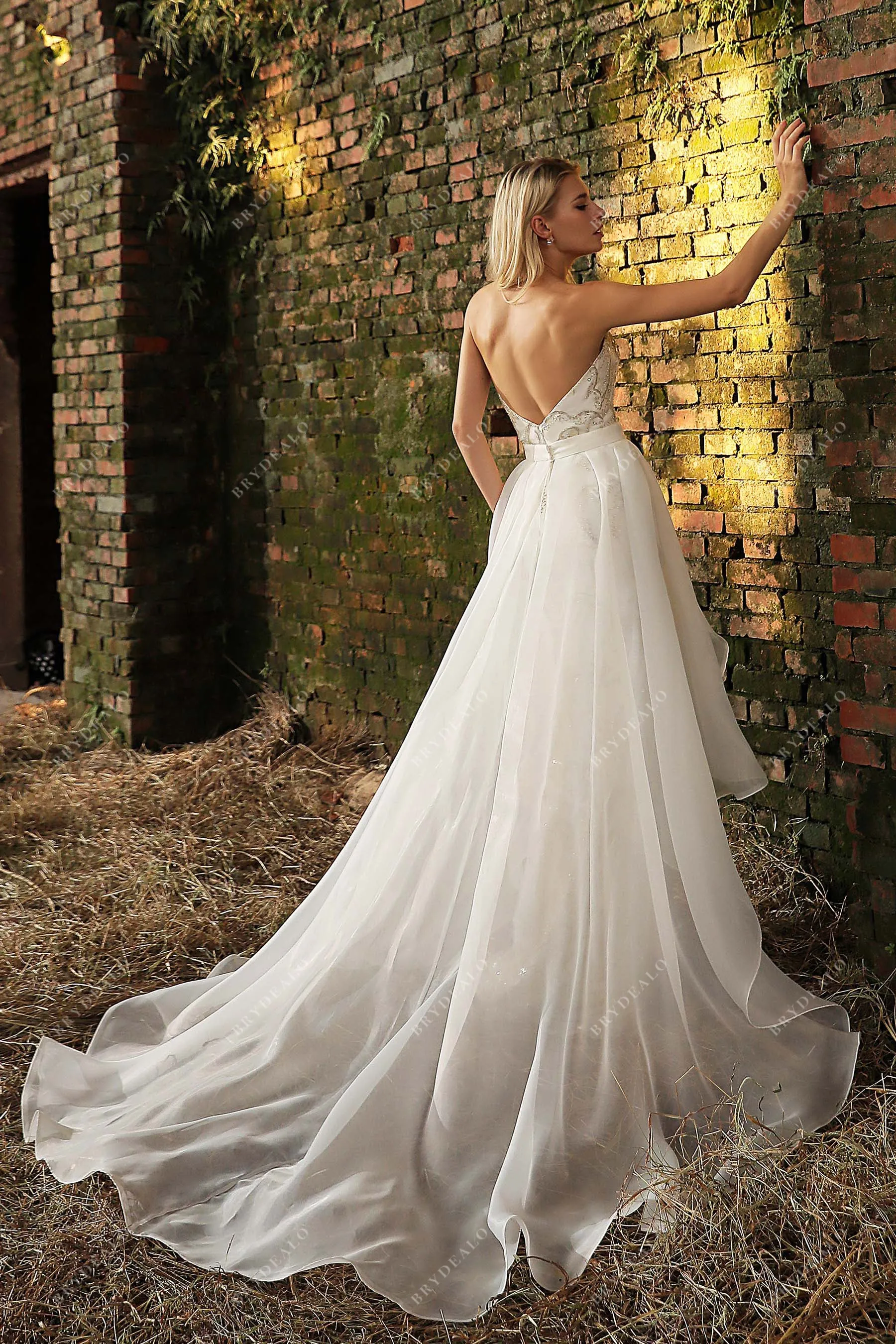 Beaded Lace Strapless Whimsical Overksirt Wedding Dress