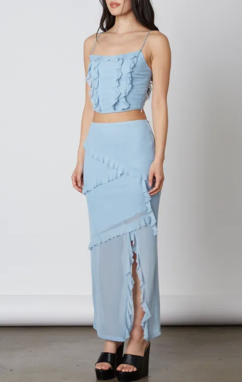 High Waisted Mesh Ruffle Maxi Skirt
